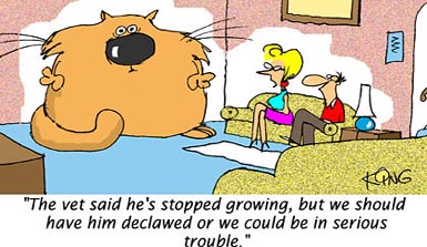 Humor Cartoon 5/6/2006