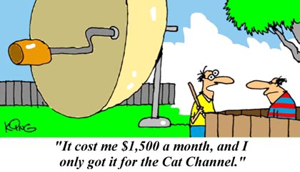 Humor Cartoon 5/11/2006