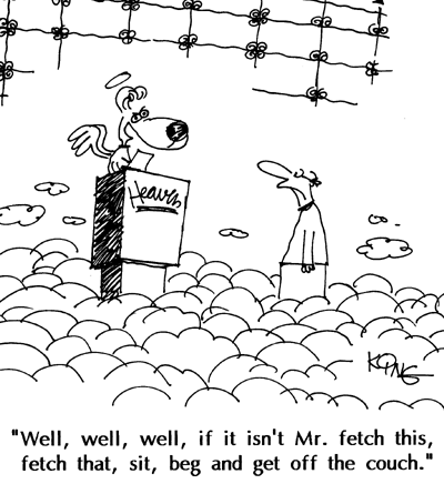 Humor Cartoon 3/24/2008