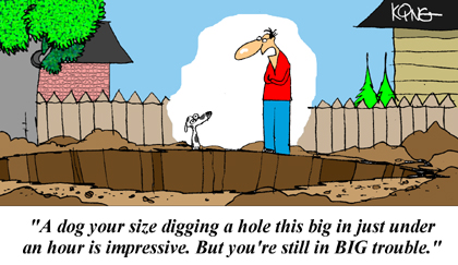 Humor Cartoon 6/16/2008