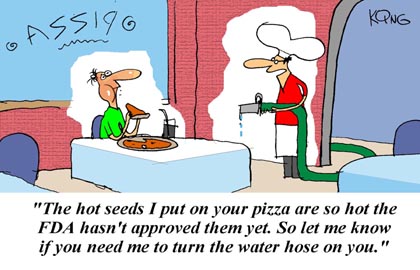 Humor Cartoon 7/12/2008