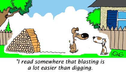 Humor Cartoon 8/6/2008