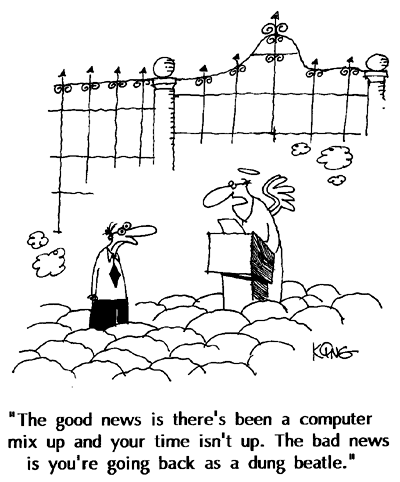 Humor Cartoon 8/8/2008