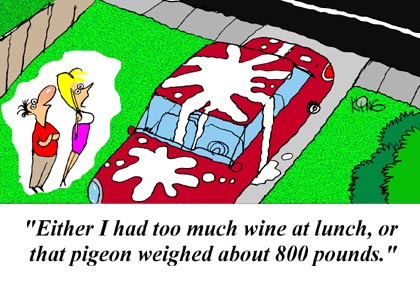 Humor Cartoon 8/18/2008