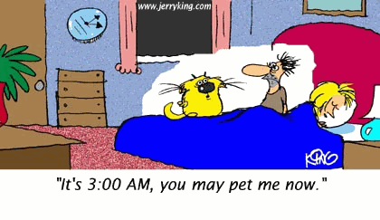 Humor Cartoon 9/23/2008