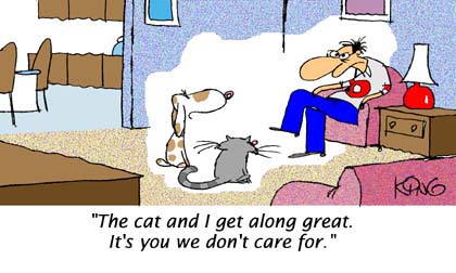 Humor Cartoon 9/30/2008