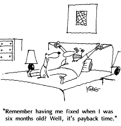 Humor Cartoon 10/7/2008