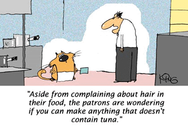 Humor Cartoon 10/9/2008
