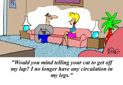 Humor Cartoon 10/11/2008