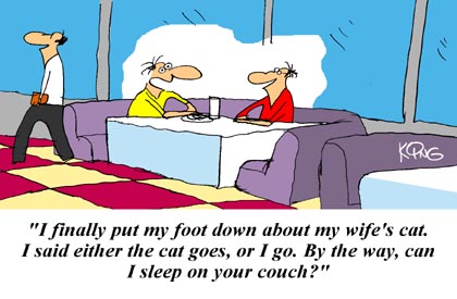 Humor Cartoon 11/8/2008