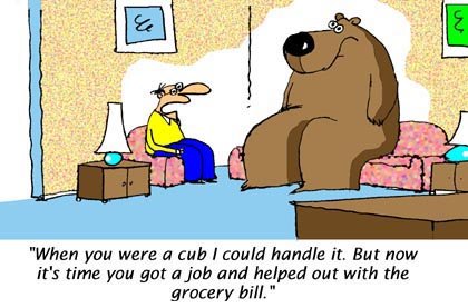 Humor Cartoon 11/15/2008
