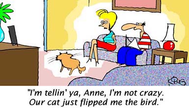 Humor Cartoon 12/9/2008
