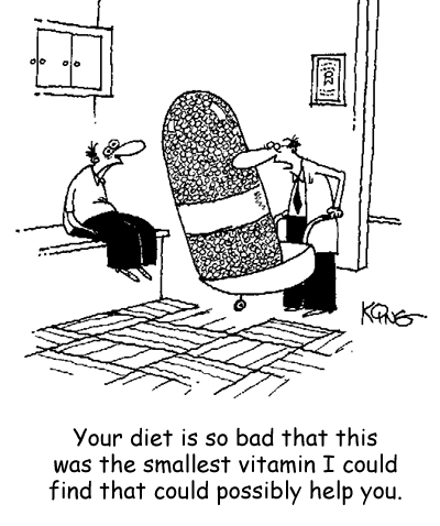 Humor Cartoon 12/26/2008