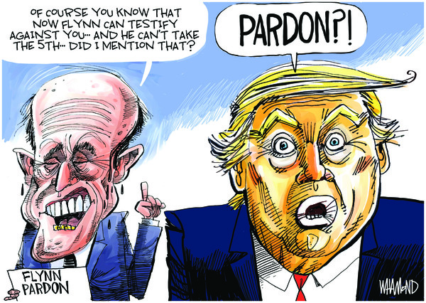 Dave Whamond for 11/25/2020 | Dave Whamond | Comics | ArcaMax Publishing