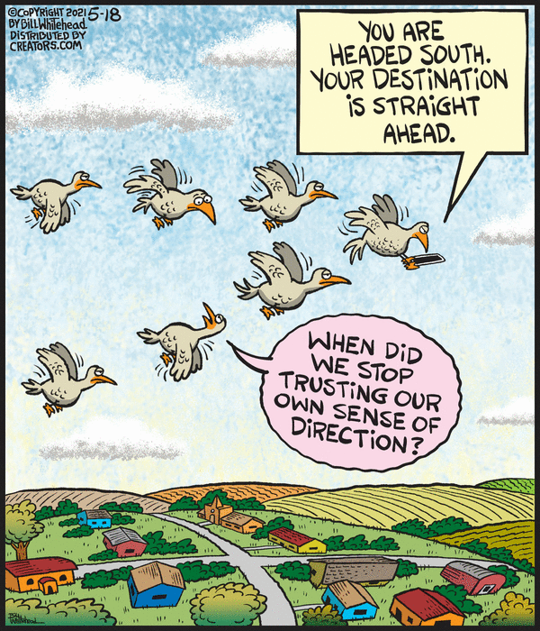 Free Range for 5/18/2021 | Free Range | Comics | ArcaMax Publishing