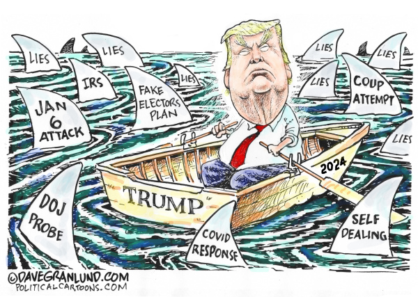 Trump and sharks