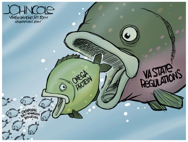 VIRGINIA Chesapeake Bay fishing regulations