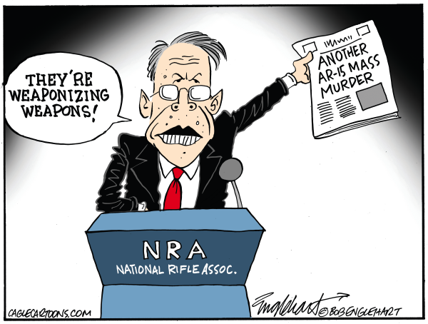 Another AR-15 Murder