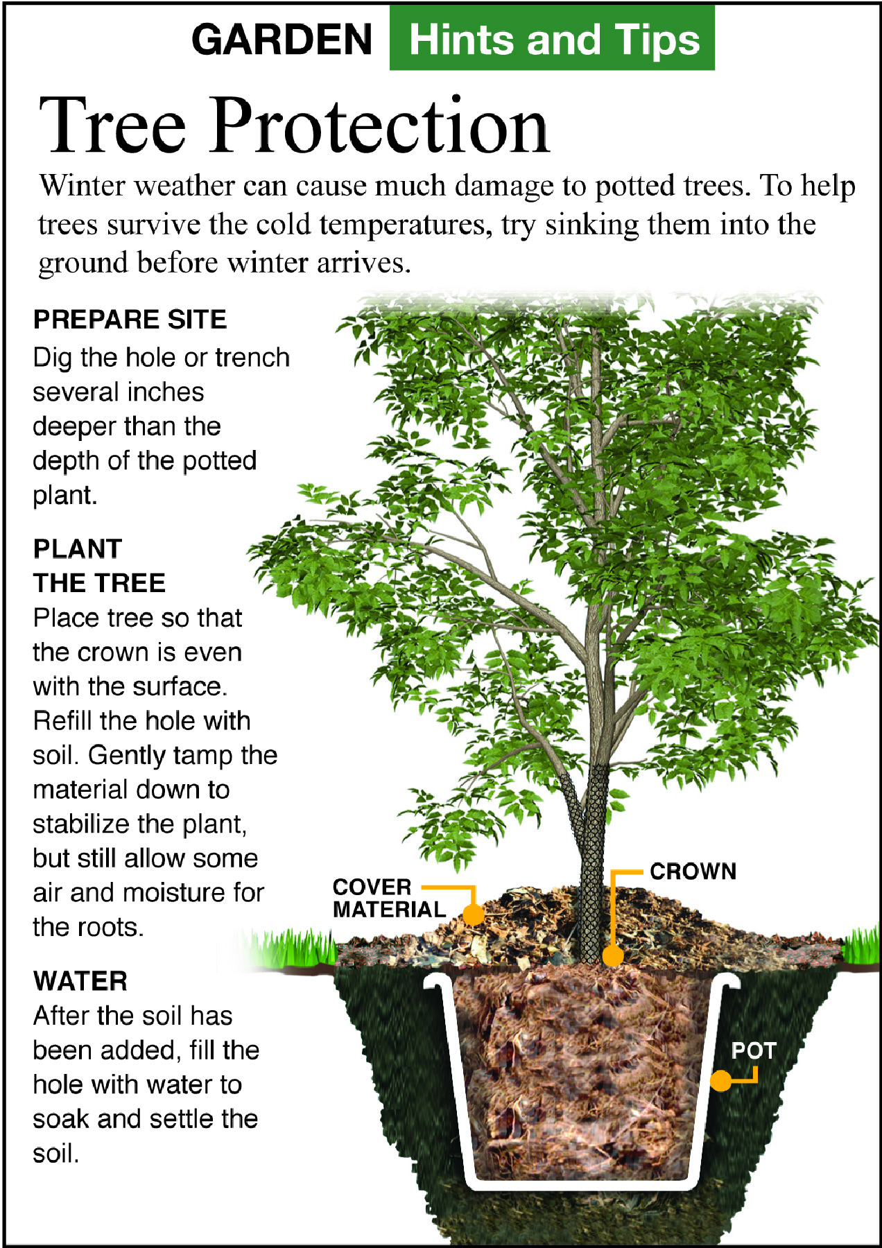 How to Protect Potted Plants in Winter