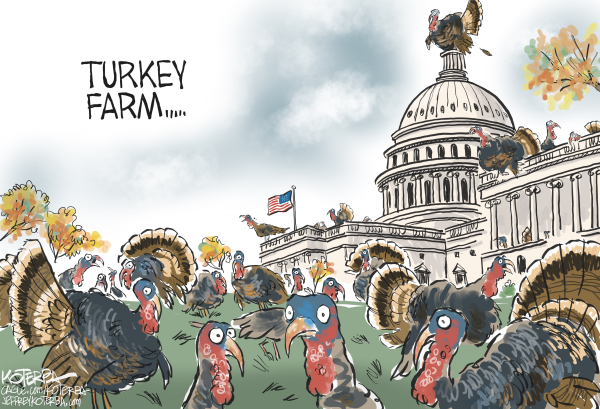 Congressional Turkeys