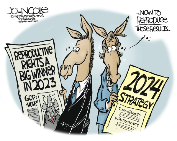 Reproductive election results