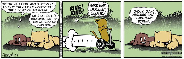 Dog Eat Doug for 12/1/2023 | Dog Eat Doug | Comics | ArcaMax Publishing