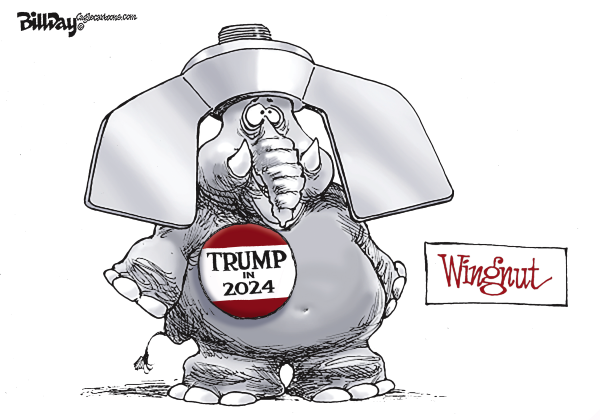 Wally Wingnut