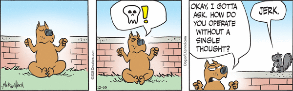 Dogs of C-Kennel for Sep 04, 2022