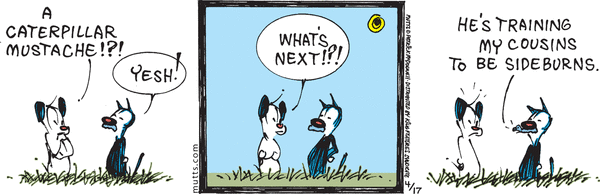 Mutts by Patrick McDonnell on Wed, 17 Apr 2024