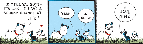 Mutts by Patrick McDonnell on Mon, 06 May 2024