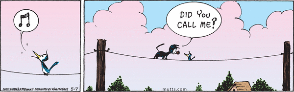 Mutts by Patrick McDonnell on Tue, 07 May 2024