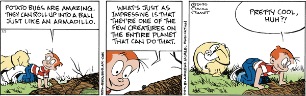 Red and Rover for 7/3/2025