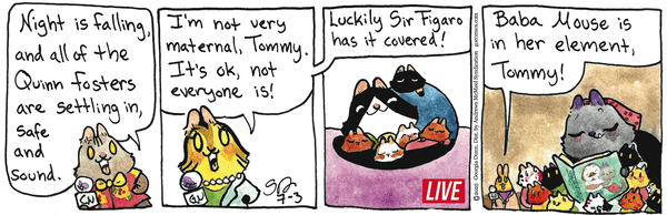 Breaking Cat News for 7/3/2025