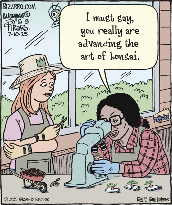 click or tap to zoom Bizarro for 7/10/2025