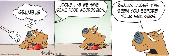 click or tap to zoom Dogs of C-Kennel for 7/17/2025