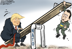 click or tap to zoom Trump at NATO