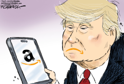 click or tap to zoom Amazon and the President