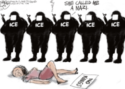 click or tap to zoom ICE Law and Order