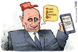 click or tap to zoom Putin TACO Hat