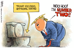 Trump Approval Rating