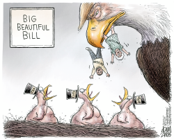 click or tap to zoom Trump Budget Bill