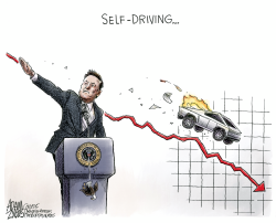 click or tap to zoom Tesla Sales Tanking