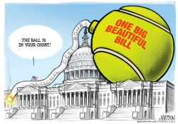 click or tap to zoom House Budget Ball In Senate Court