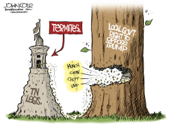 click or tap to zoom TN Legislative termites