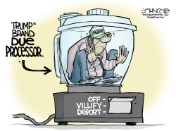 click or tap to zoom The immigrant Due-Processor