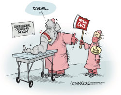 click or tap to zoom GOP hard-liners and Medicaid cuts