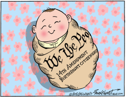 click or tap to zoom Birthright Citizenship