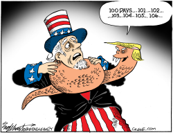 Trump's First 100 Days