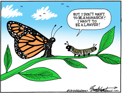 click or tap to zoom Monarch Butterflies In Spring