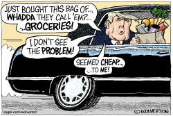 click or tap to zoom Trump Buys Groceries